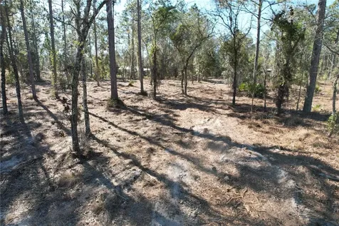SE 134th Terrace Morriston FL 32668