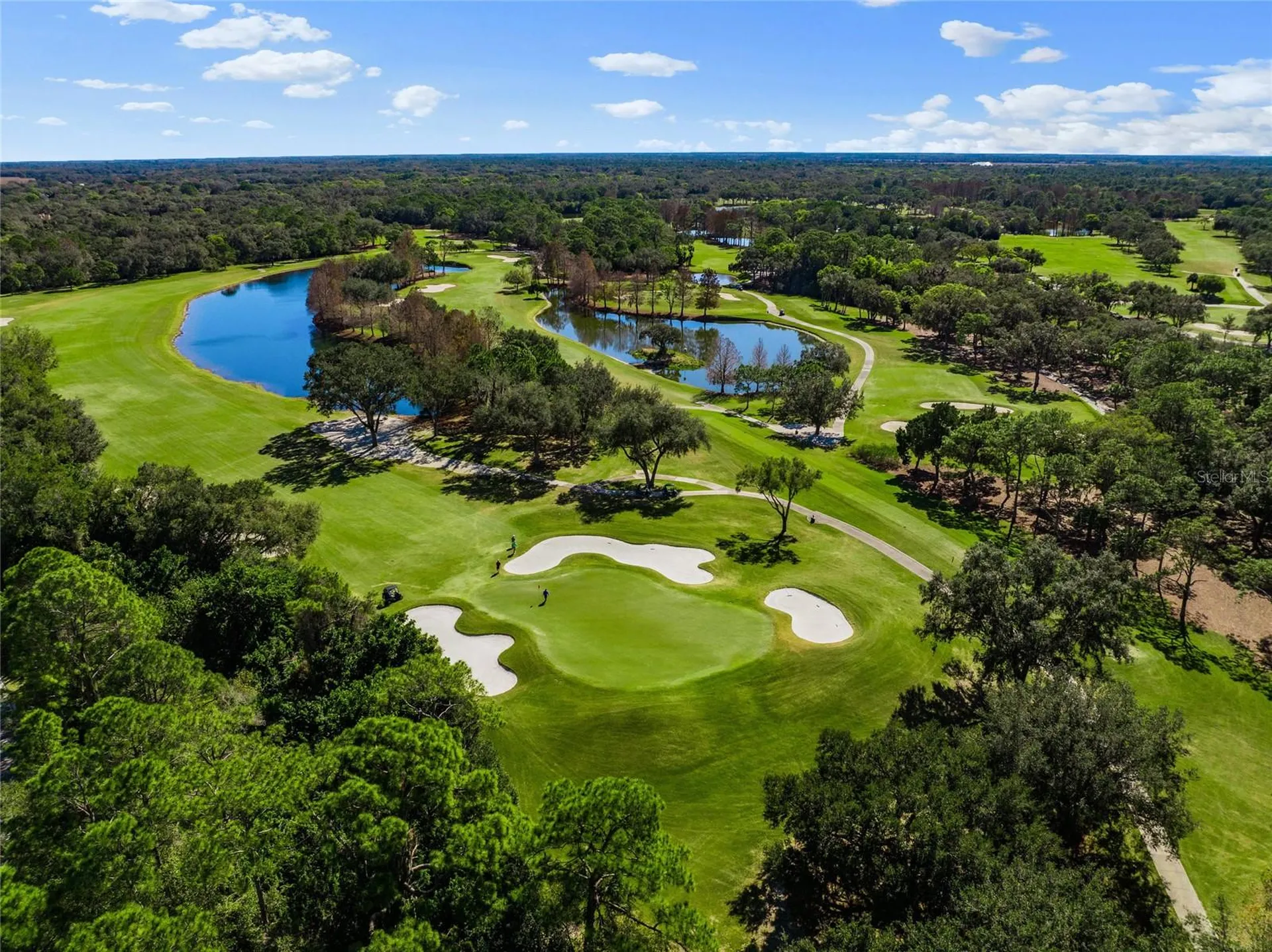 8452 Eagle Preserve Way Sarasota FL 34241