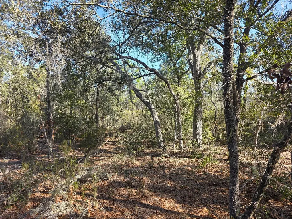 Tbd NE 87th Place Bronson FL 32621