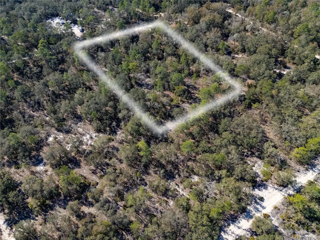 Tbd NE 87th Place Bronson FL 32621