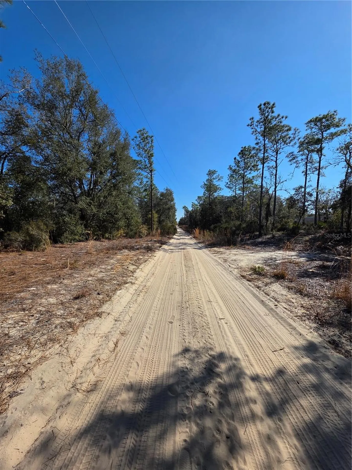 Tbd NE 87th Place Bronson FL 32621