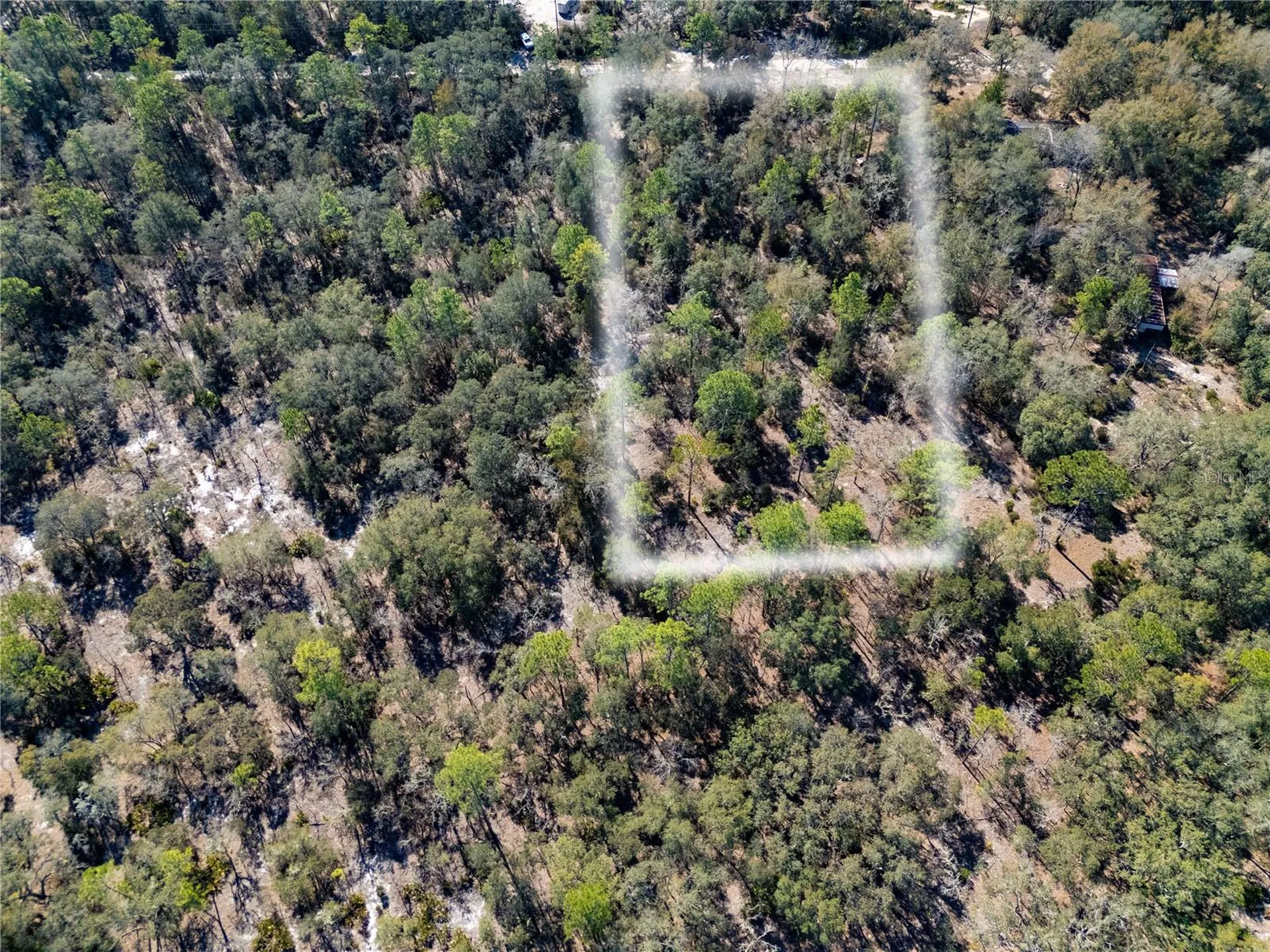 Tbd NE 87th Place Bronson FL 32621