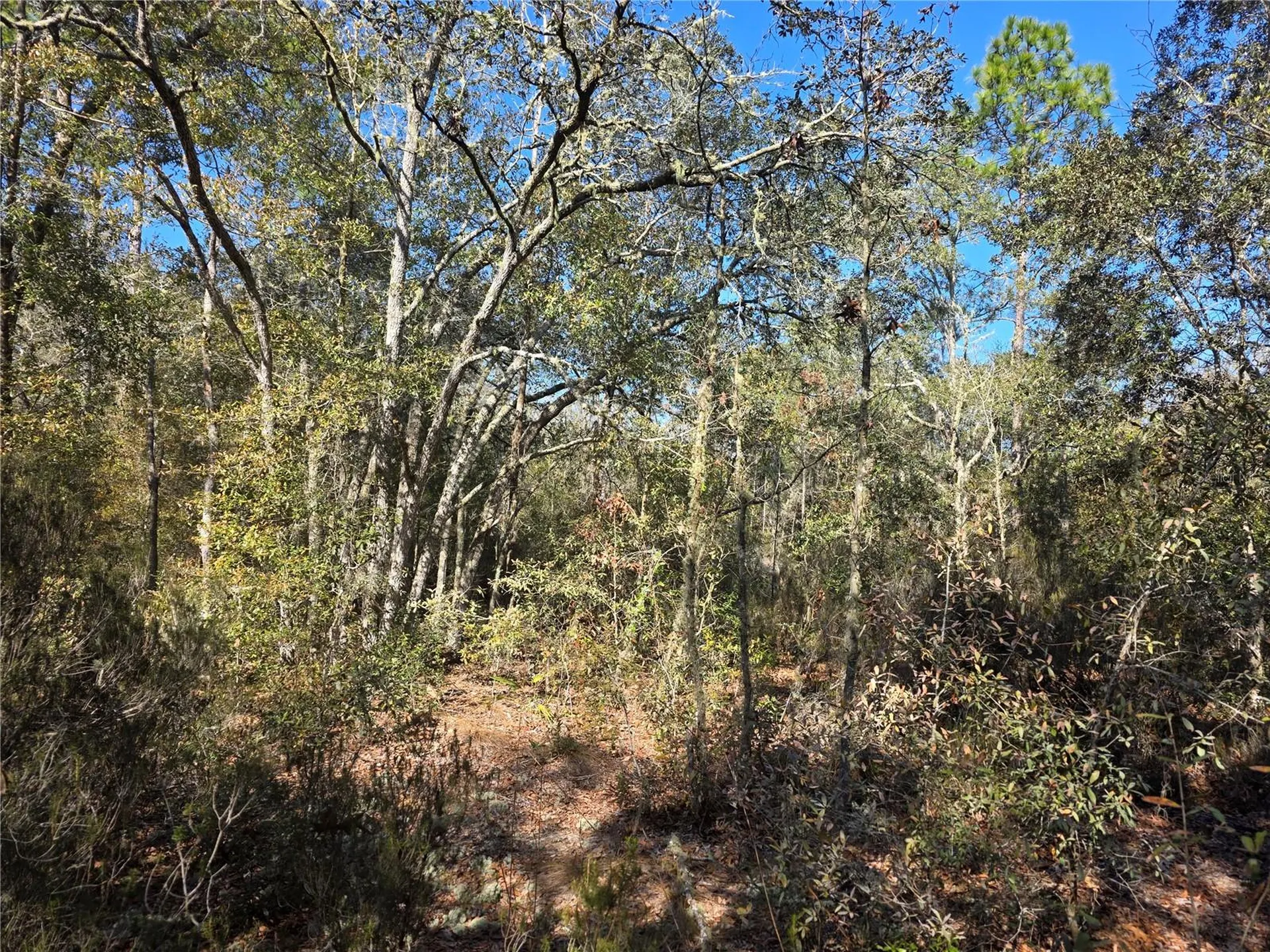 Tbd NE 87th Place Bronson FL 32621