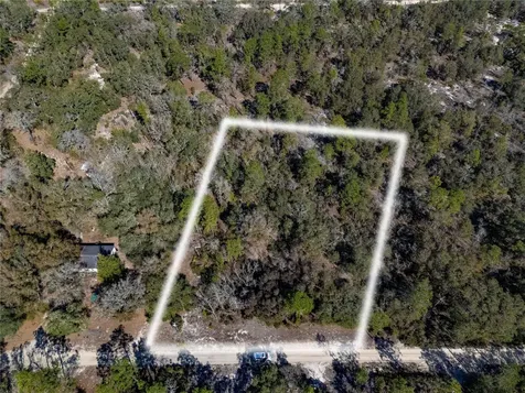 Tbd NE 87th Place Bronson FL 32621