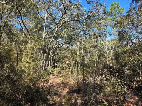 Tbd NE 87th Place Bronson FL 32621