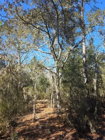 Tbd NE 87th Place Bronson FL 32621