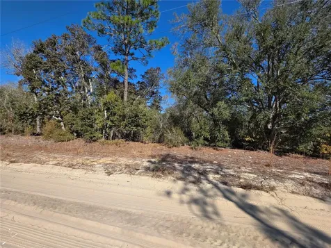 Tbd NE 87th Place Bronson FL 32621