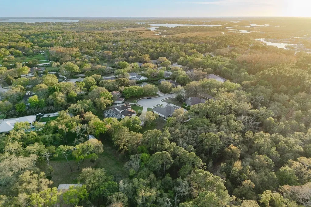 6207 Claire De Lune Court New Port Richey FL 34655