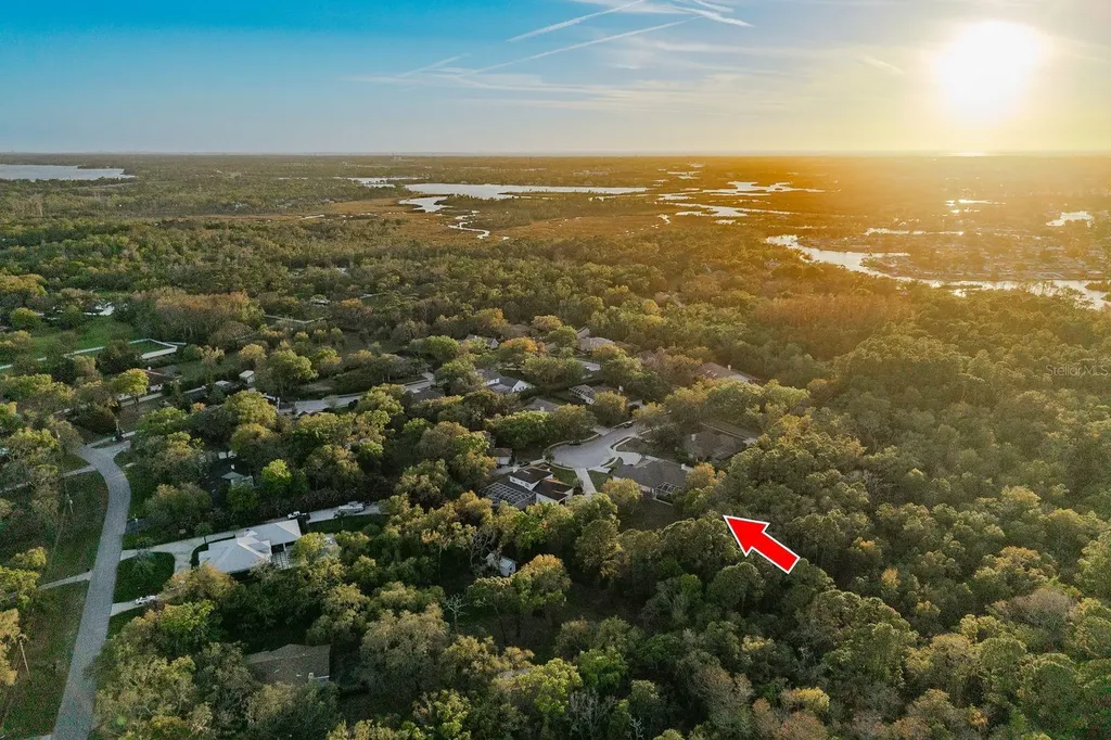 6207 Claire De Lune Court New Port Richey FL 34655