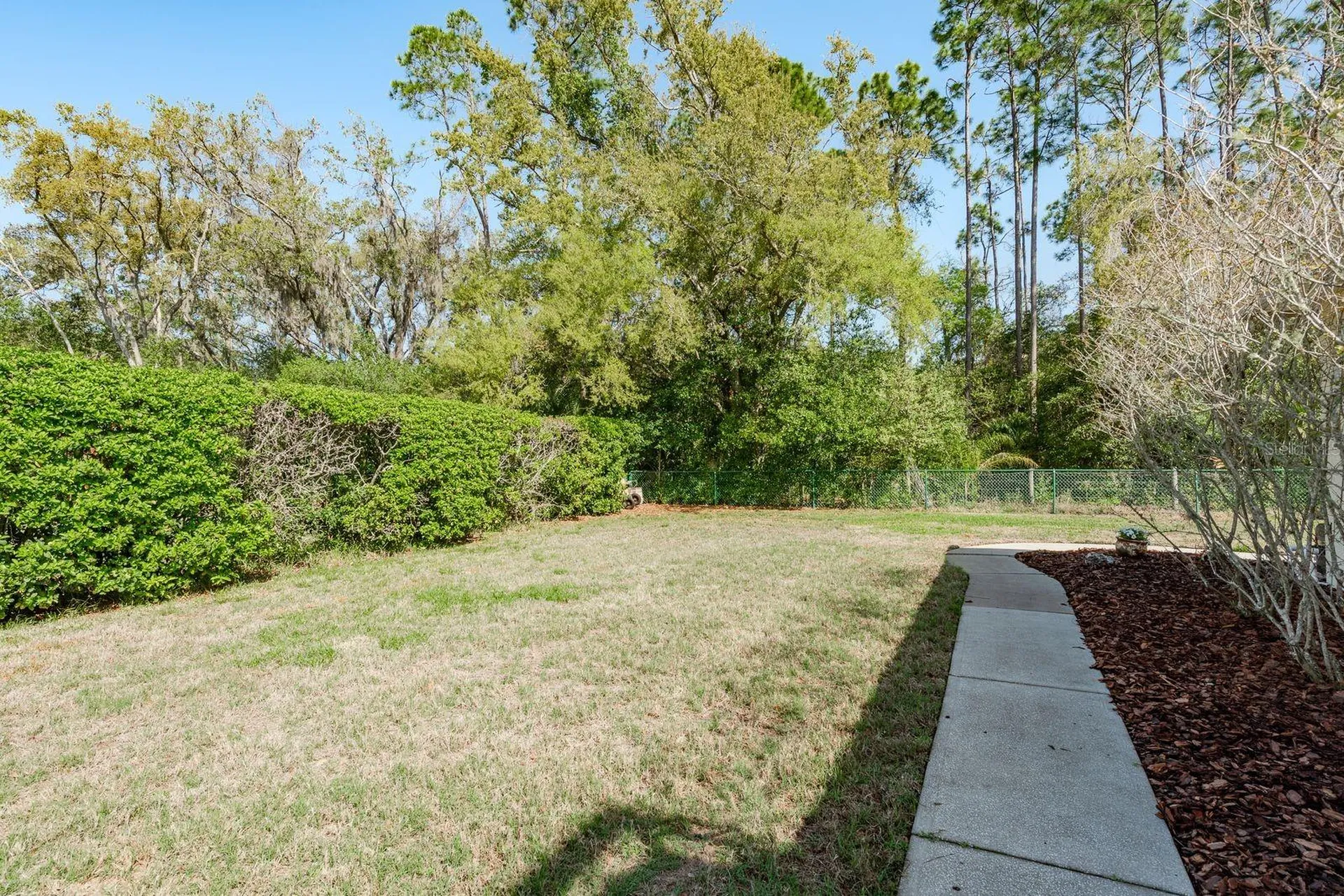 6207 Claire De Lune Court New Port Richey FL 34655