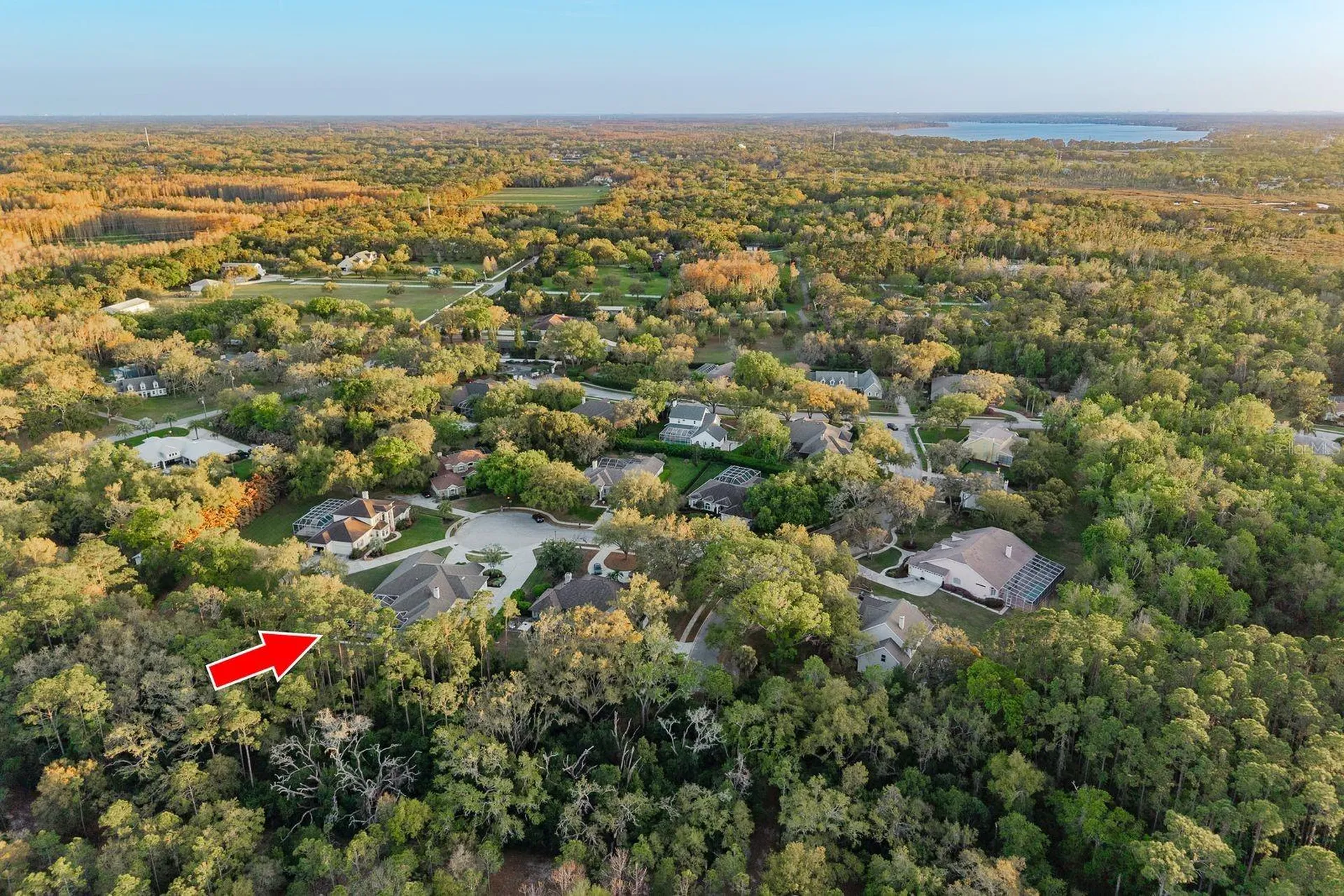 6207 Claire De Lune Court New Port Richey FL 34655