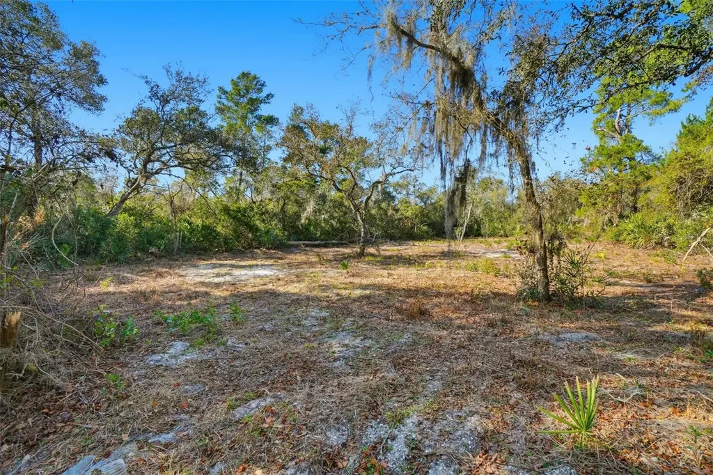 370 Sand Pine Place Geneva FL 32732