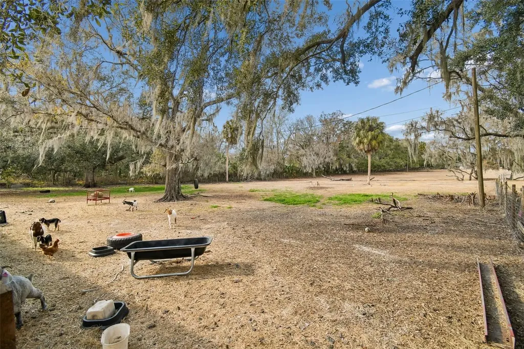 3009 Jim Johnson Road Plant City FL 33566