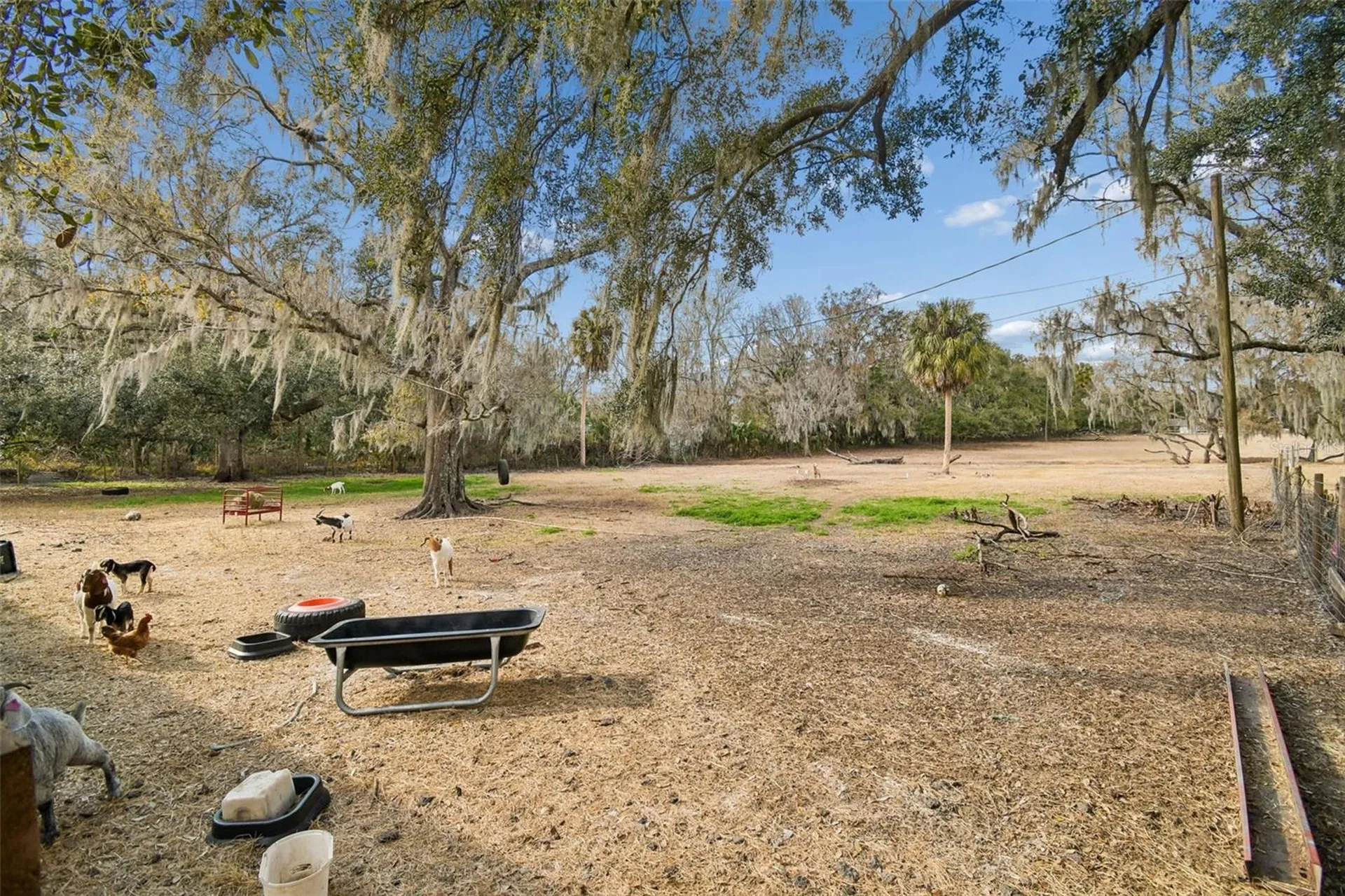 3009 Jim Johnson Road Plant City FL 33566