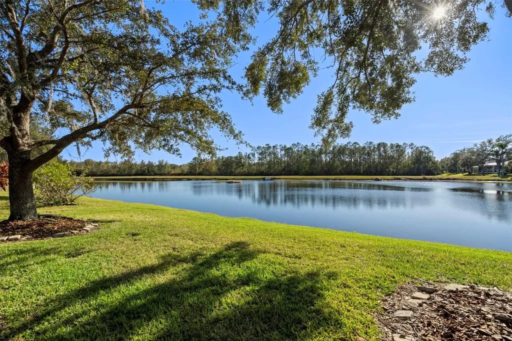 27422 Edenfield Drive Wesley Chapel FL 33544