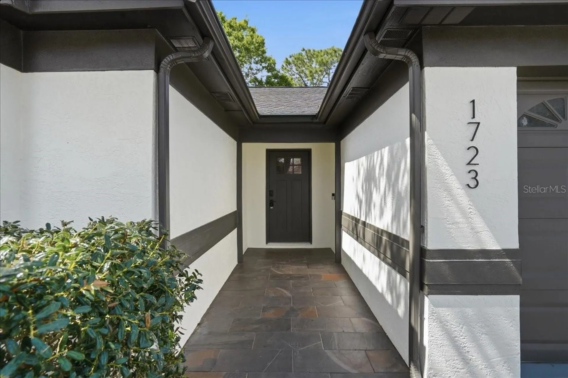 1723 Elk Spring Drive Brandon FL 33511