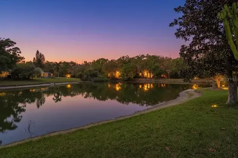 1723 Elk Spring Drive Brandon FL 33511