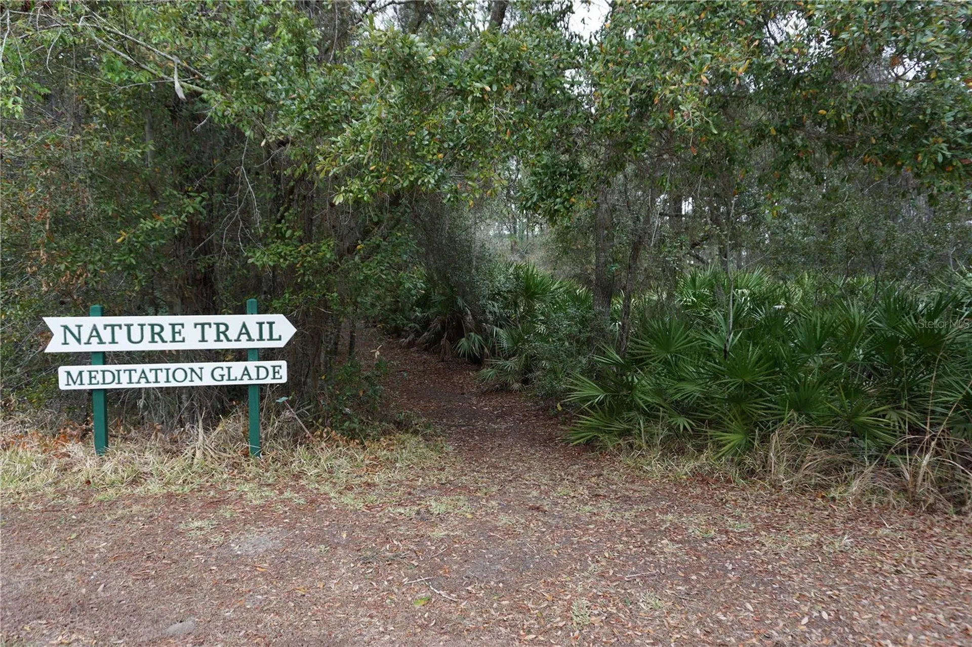 26927 Forest Hills Street Leesburg FL 34748