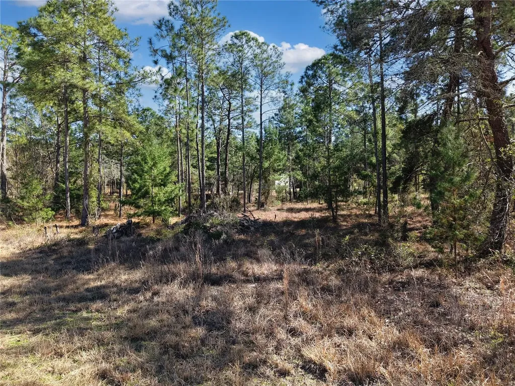 Tbd 00 SE 6th Lane Williston FL 32696