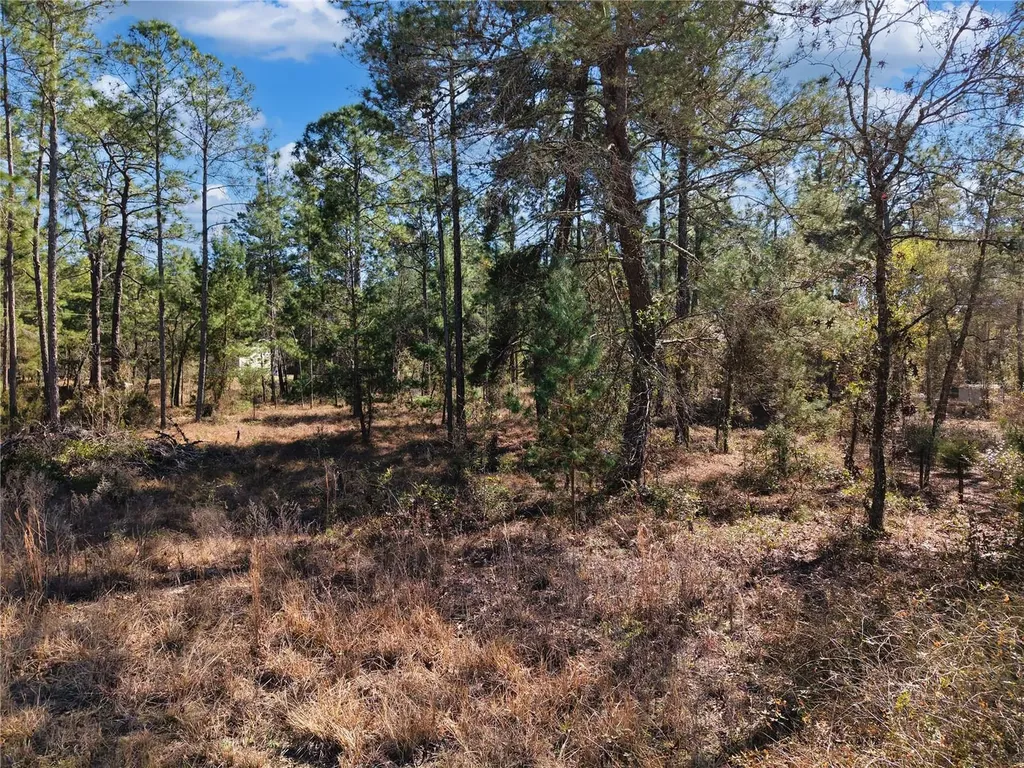 Tbd 00 SE 6th Lane Williston FL 32696