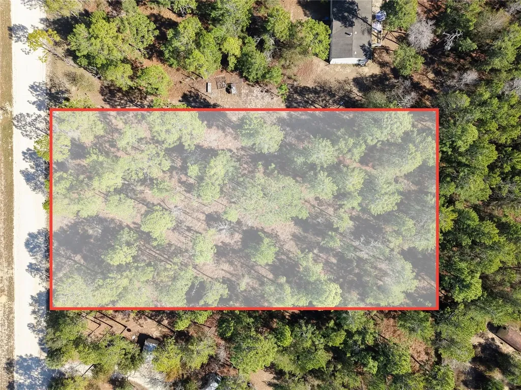 Tbd 00 SE 6th Lane Williston FL 32696