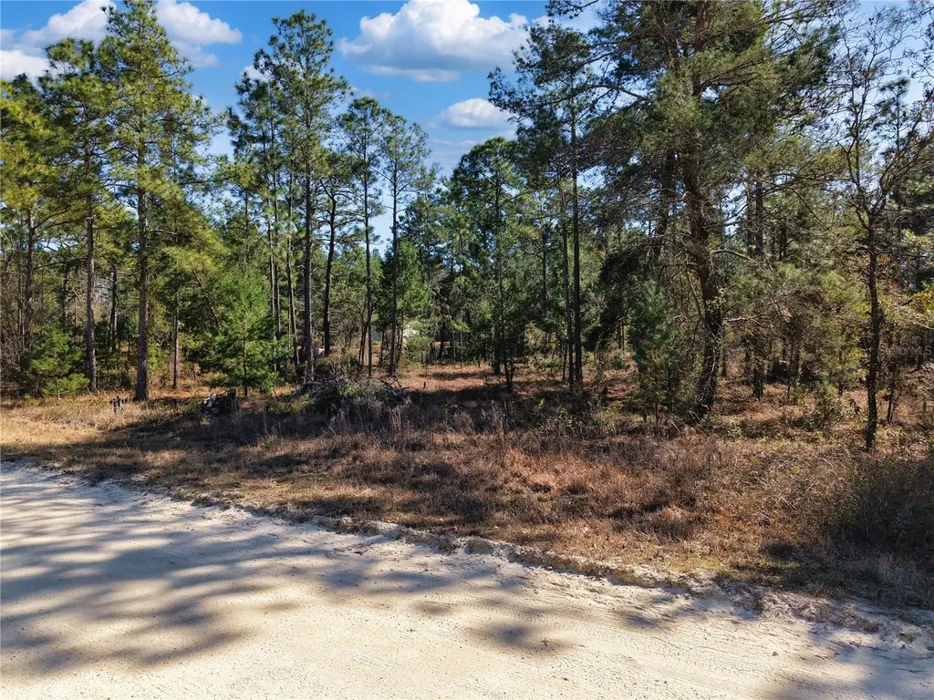 Tbd 00 SE 6th Lane Williston FL 32696