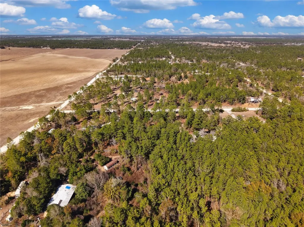 Tbd 00 SE 6th Lane Williston FL 32696