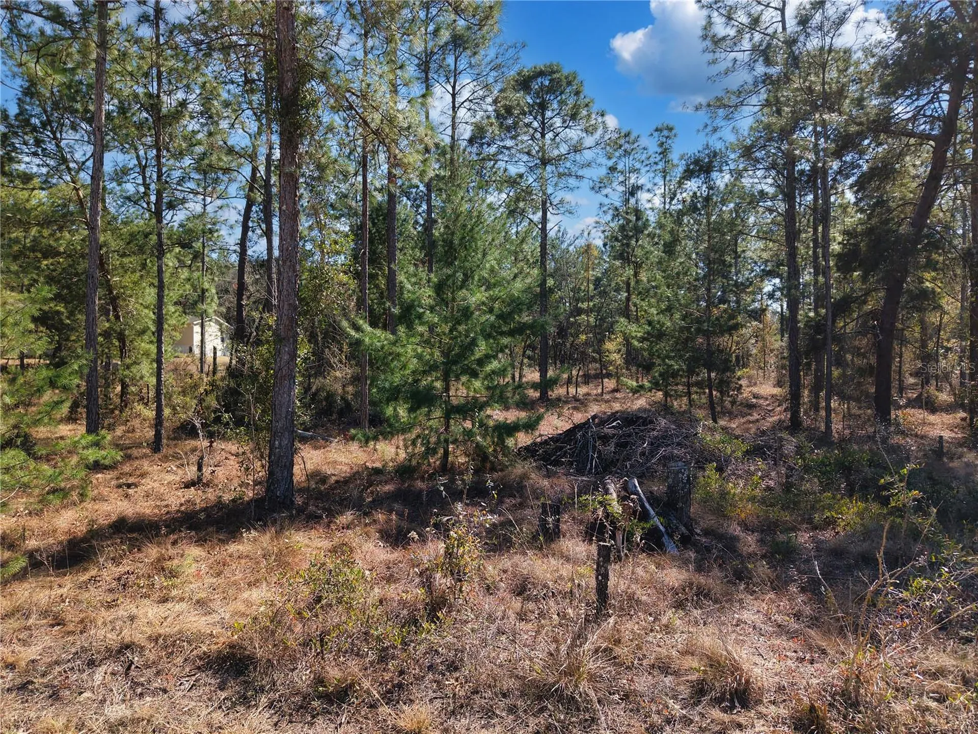 Tbd 00 SE 6th Lane Williston FL 32696