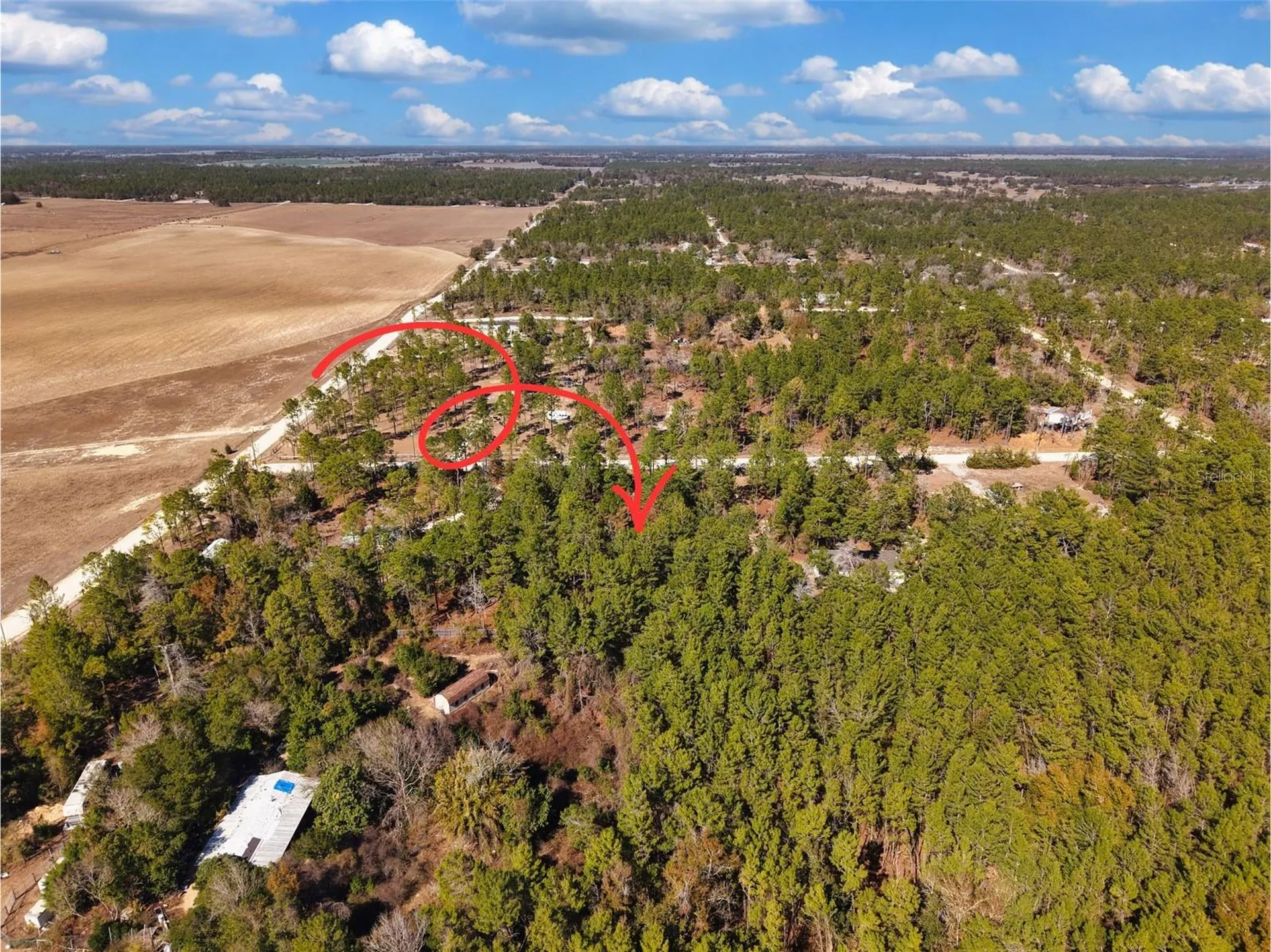 Tbd 00 SE 6th Lane Williston FL 32696