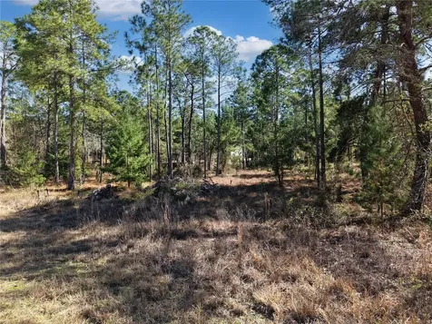 Tbd 00 SE 6th Lane Williston FL 32696
