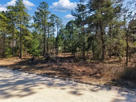 Tbd 00 SE 6th Lane Williston FL 32696