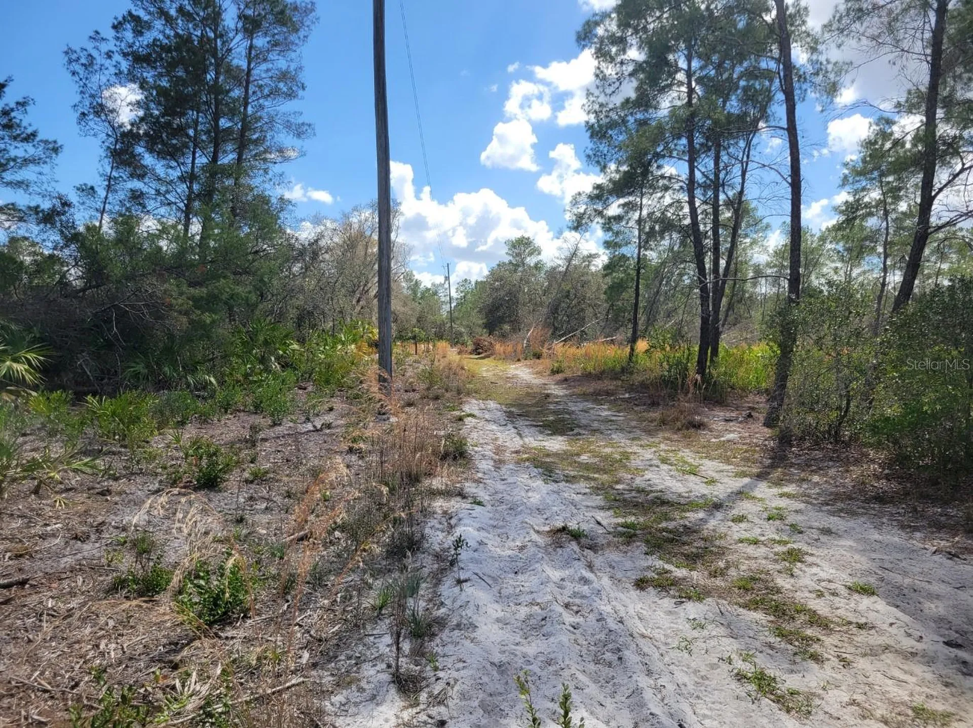 Tennessee Street Paisley FL 32767
