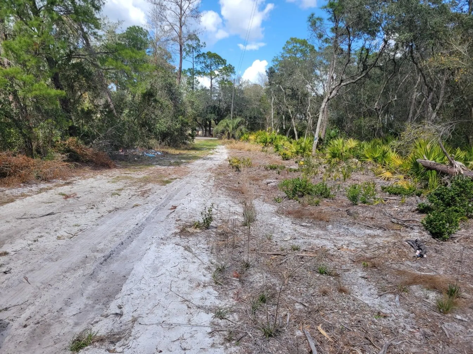 Tennessee Street Paisley FL 32767