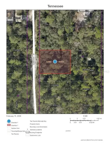 Tennessee Street Paisley FL 32767