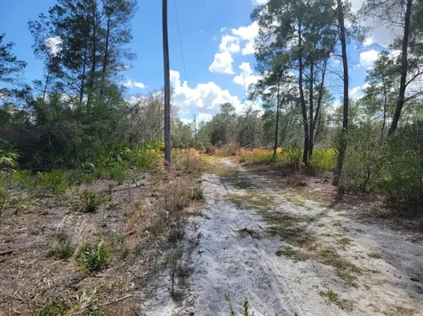 Tennessee Street Paisley FL 32767