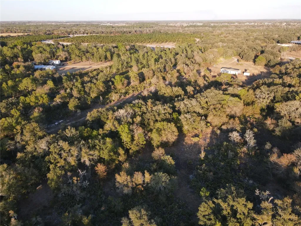 14420 Highland Road Wimauma FL 33598