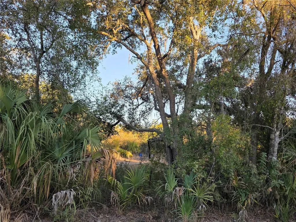14420 Highland Road Wimauma FL 33598