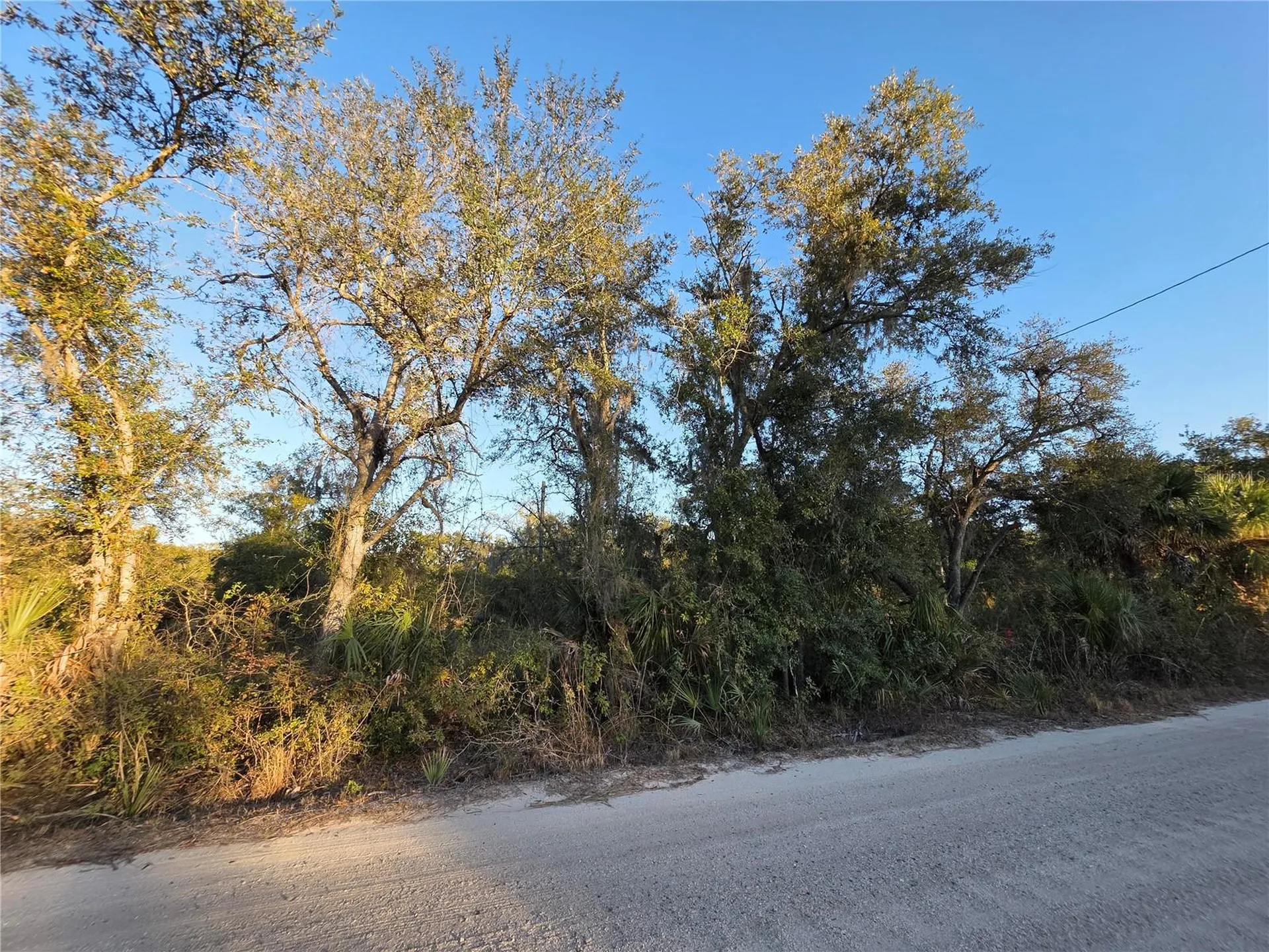 14420 Highland Road Wimauma FL 33598