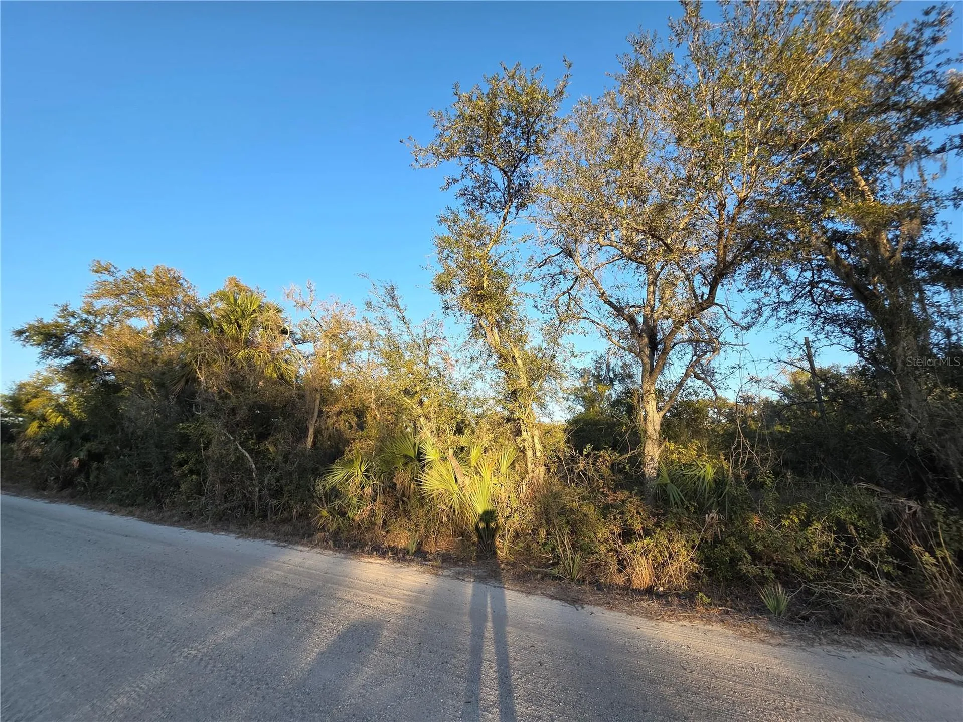 14420 Highland Road Wimauma FL 33598