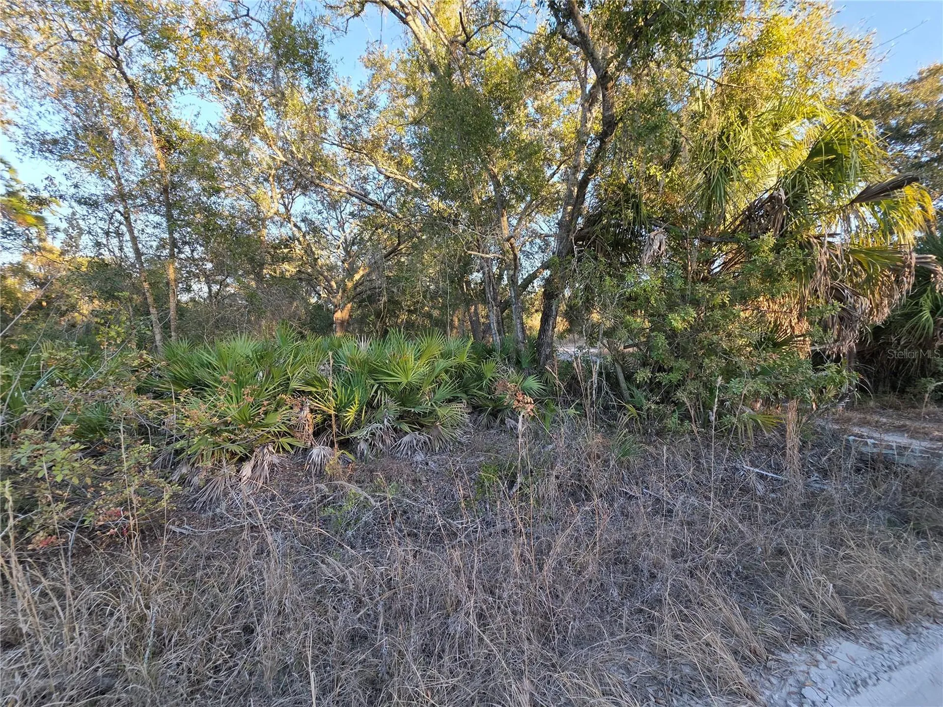 14420 Highland Road Wimauma FL 33598