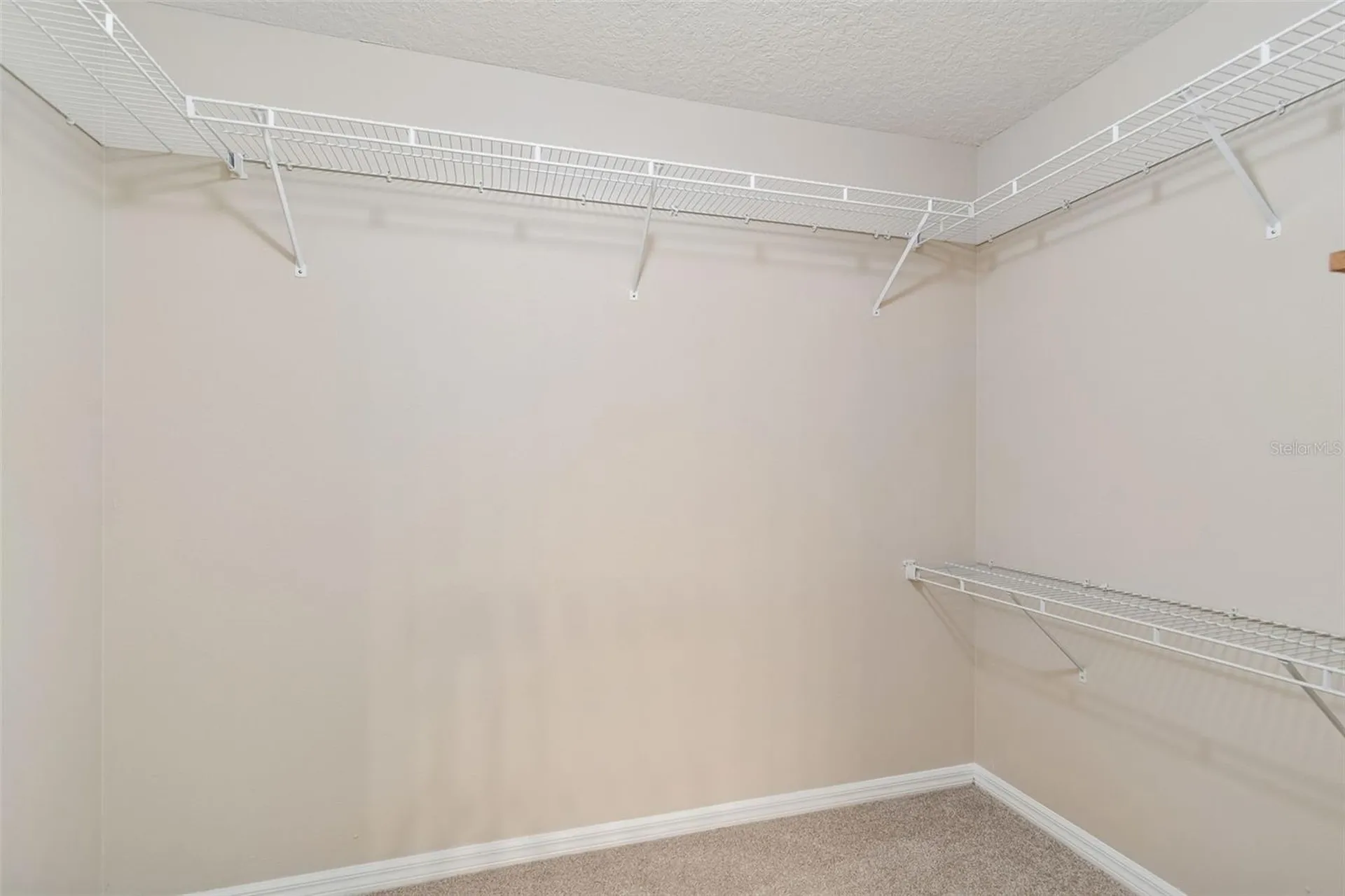 1744 Mapleleaf Boulevard Oldsmar FL 34677