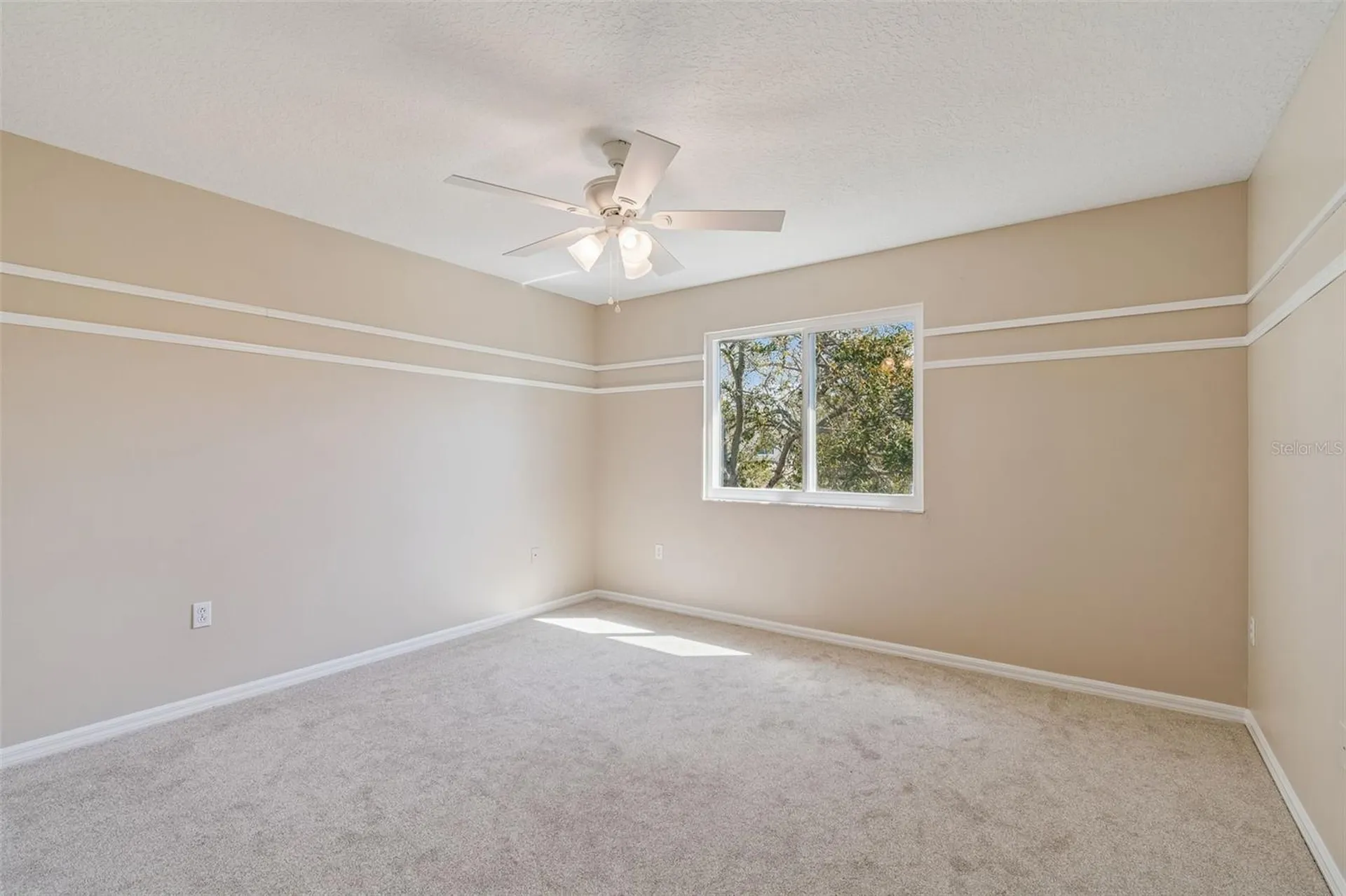 1744 Mapleleaf Boulevard Oldsmar FL 34677