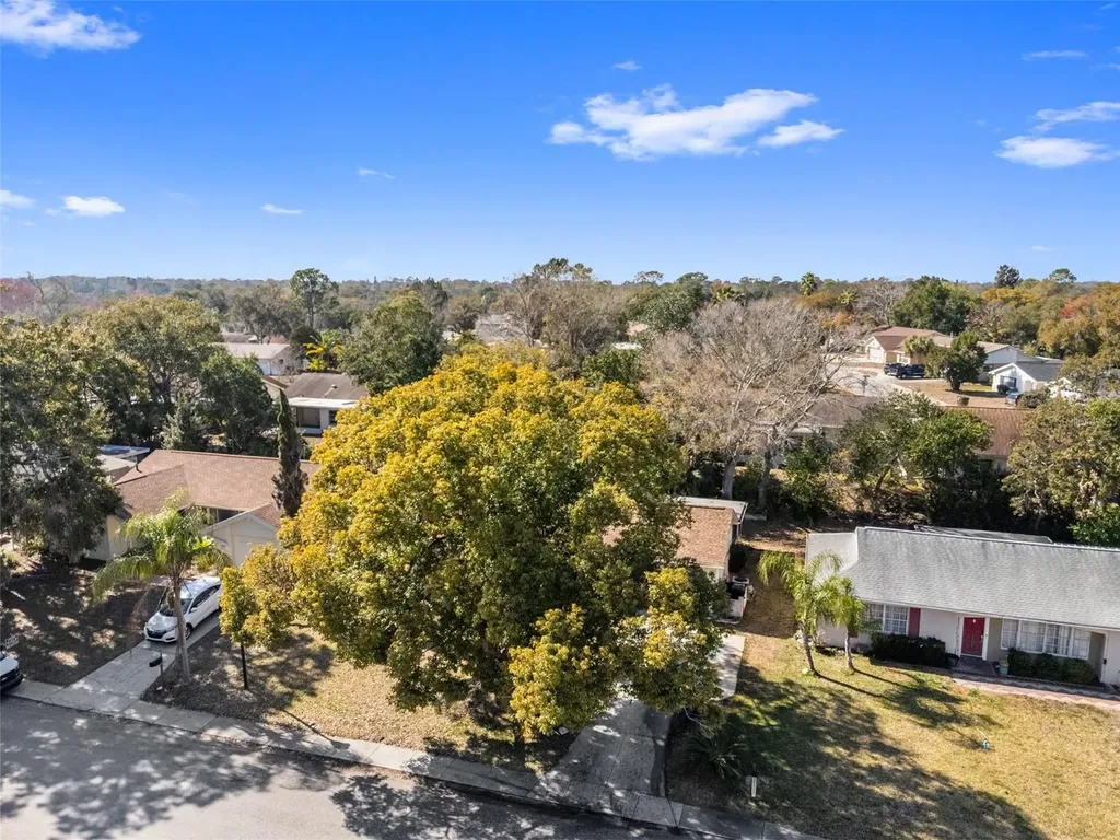 12501 Stagecoach Lane Hudson FL 34667