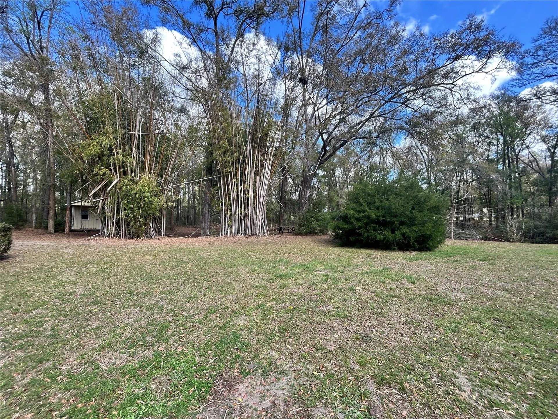 19112 NW 156th Avenue Alachua FL 32615