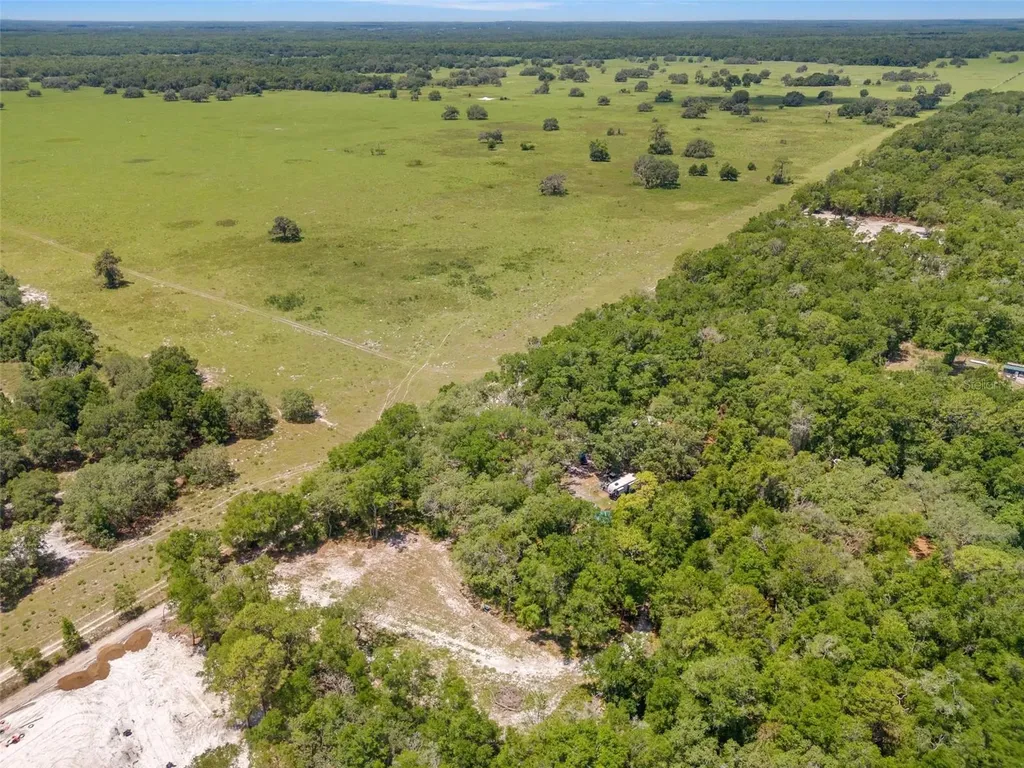 10297 SW 160th Street Dunnellon FL 34432