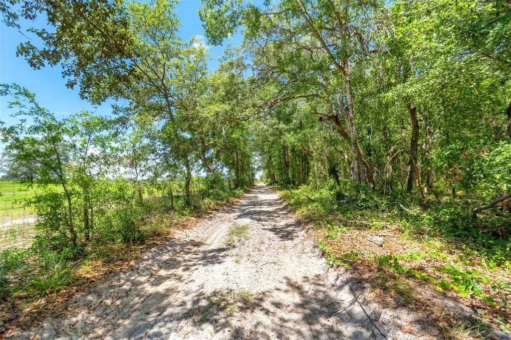 10297 SW 160th Street Dunnellon FL 34432