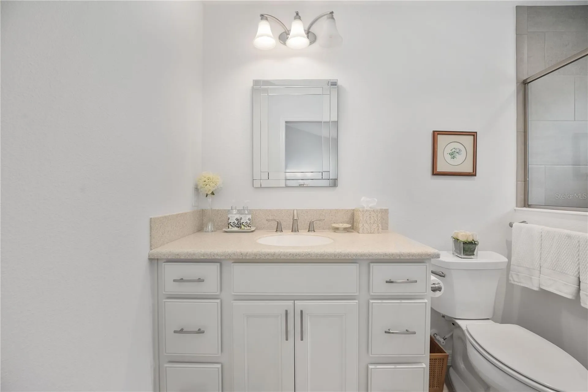 1510 Knudson Run The Villages FL 32163