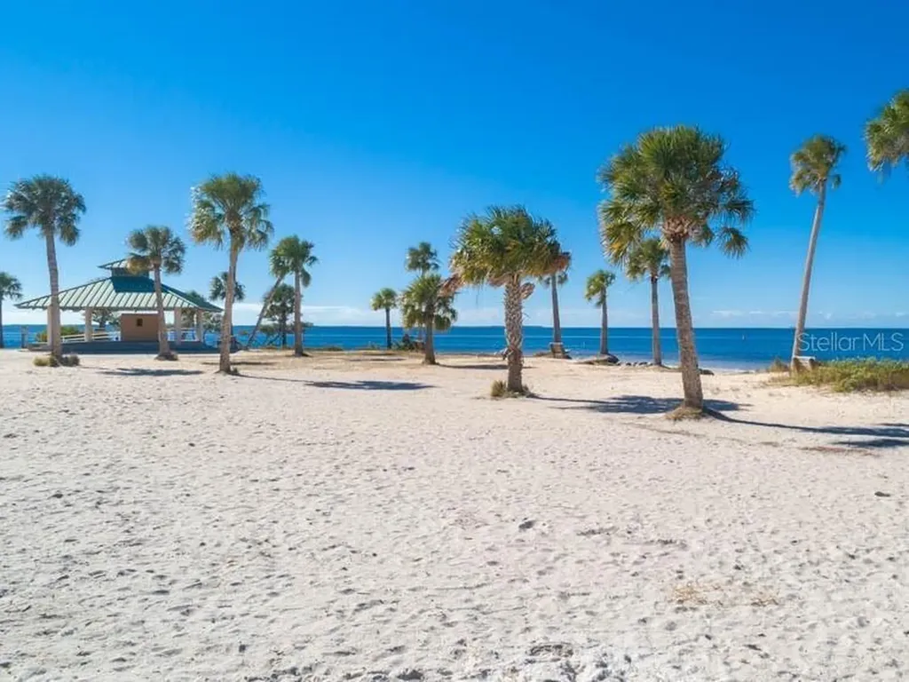 346 Moorings Cove Drive Tarpon Springs FL 34689