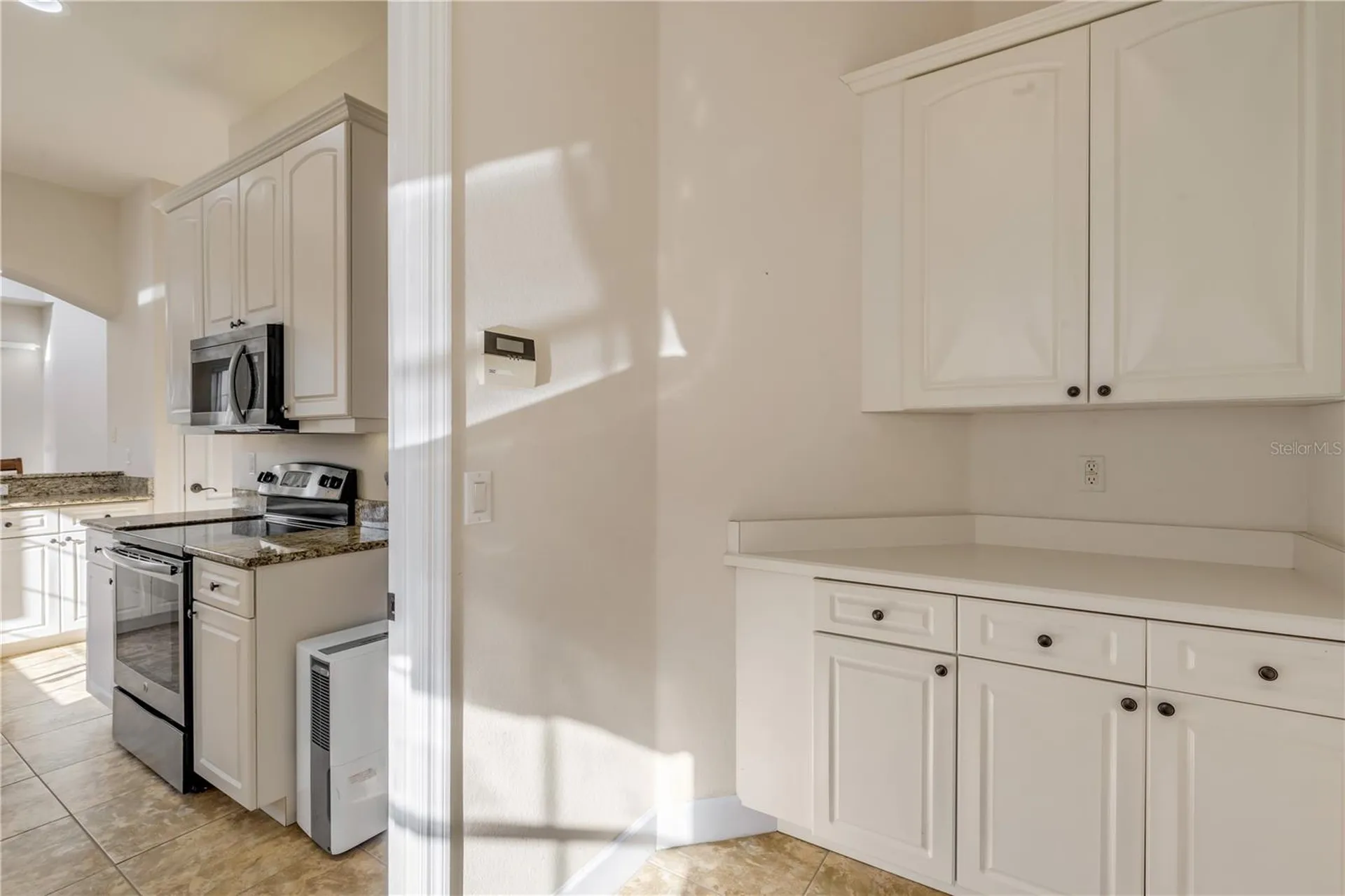 3145 Connemara Drive Ormond Beach FL 32174