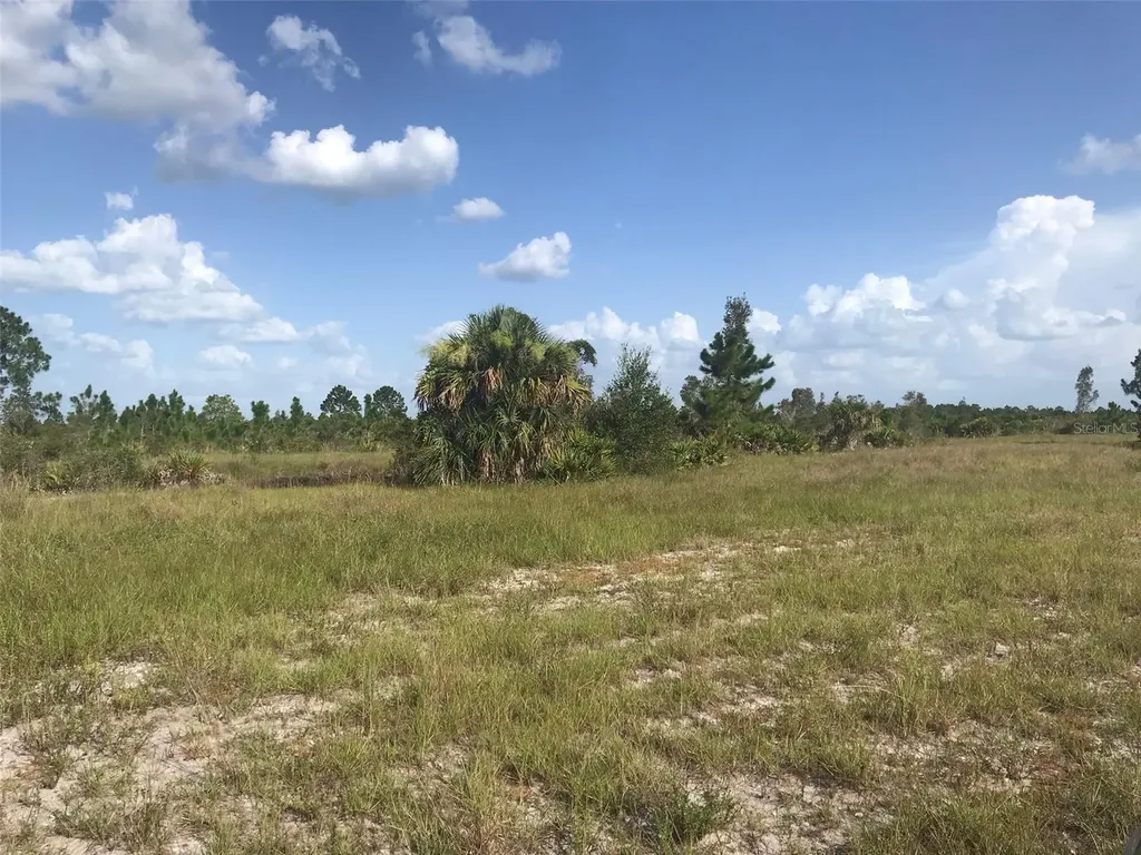 48033 Bermont Road Punta Gorda FL 33982